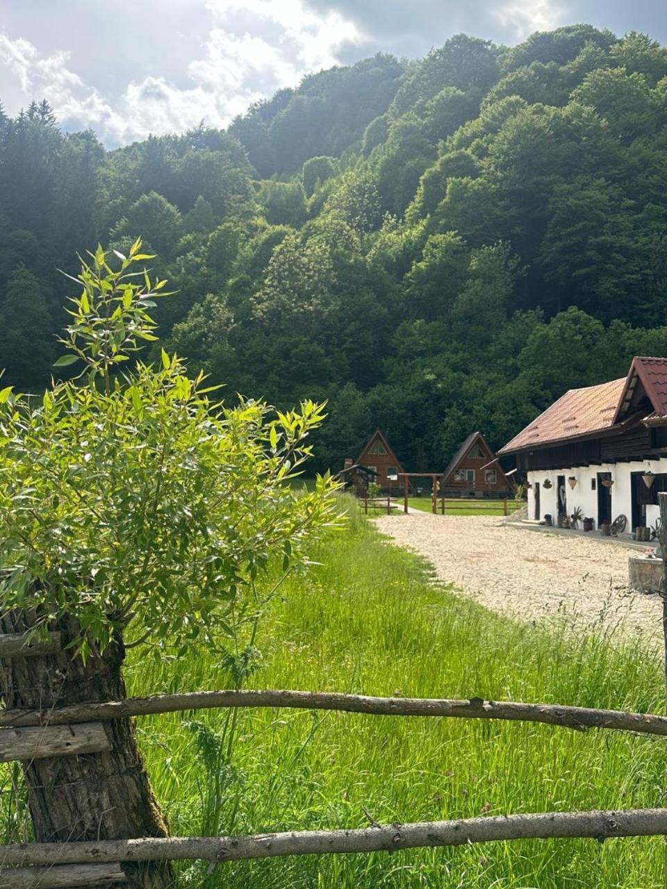 Villa Cabanutze Satic Rucăr Exterior foto